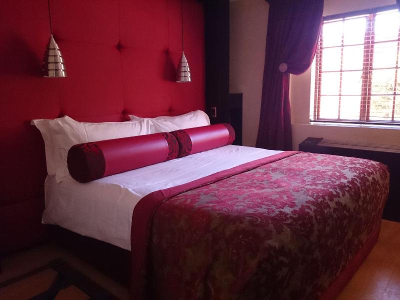 Cycad Guest House image