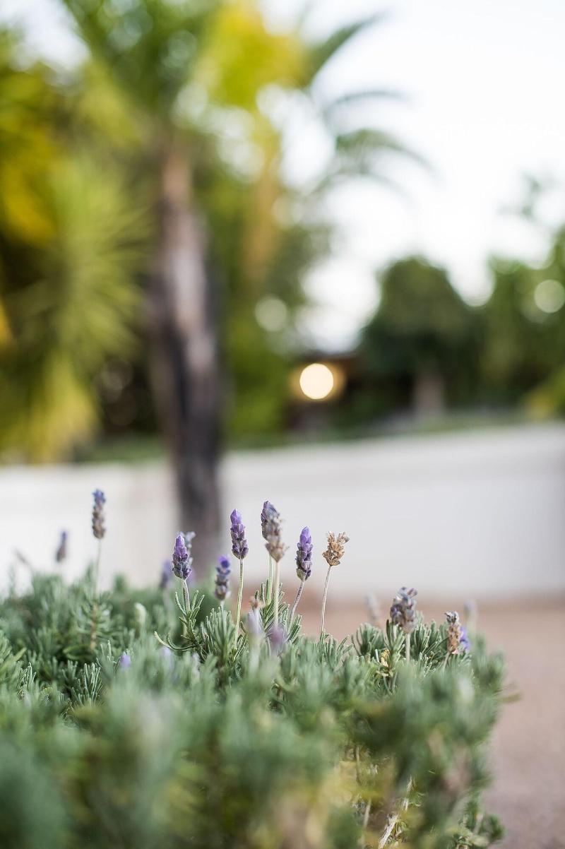 Kleinplasie Guesthouse