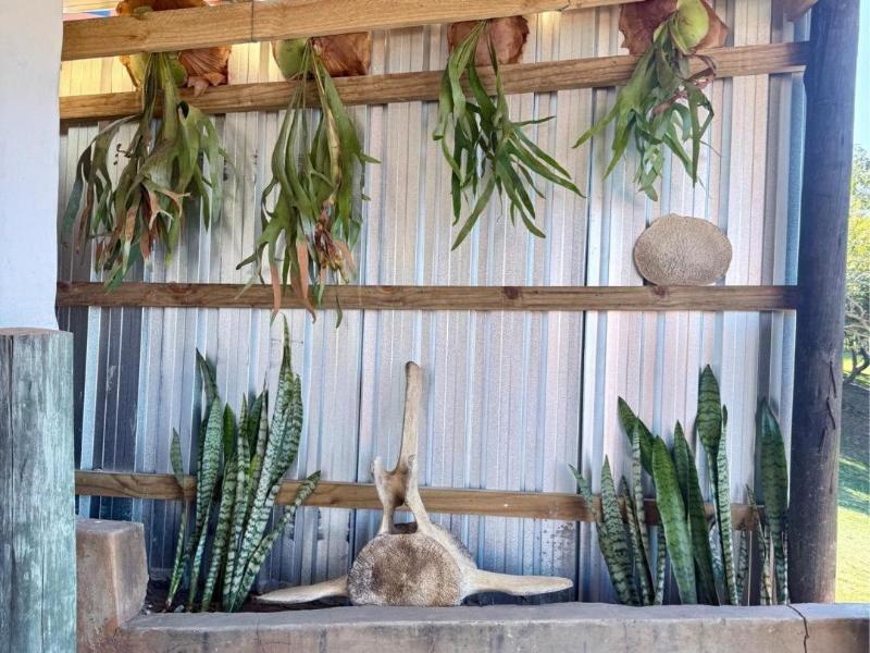 Swell Eco Lodge