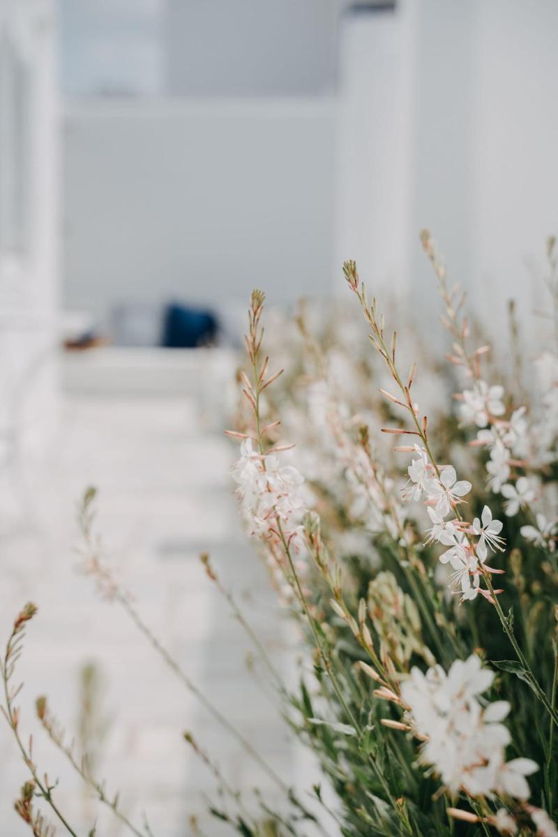 Aether Boutique Stay image
