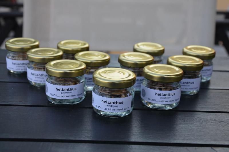 Helianthus Guesthouse image