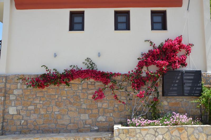 Helianthus Guesthouse image