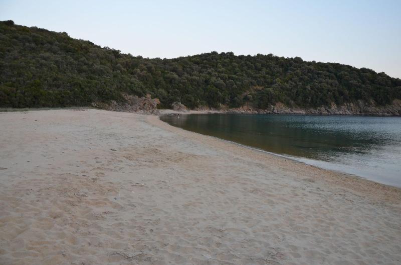 Helianthus Guesthouse image