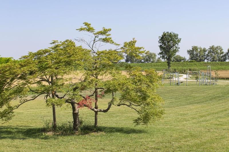 Country House Campofiore image