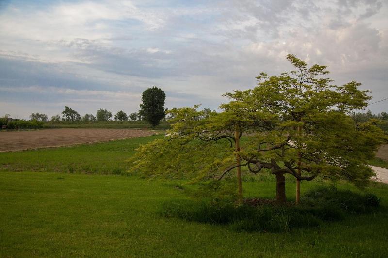 Country House Campofiore image