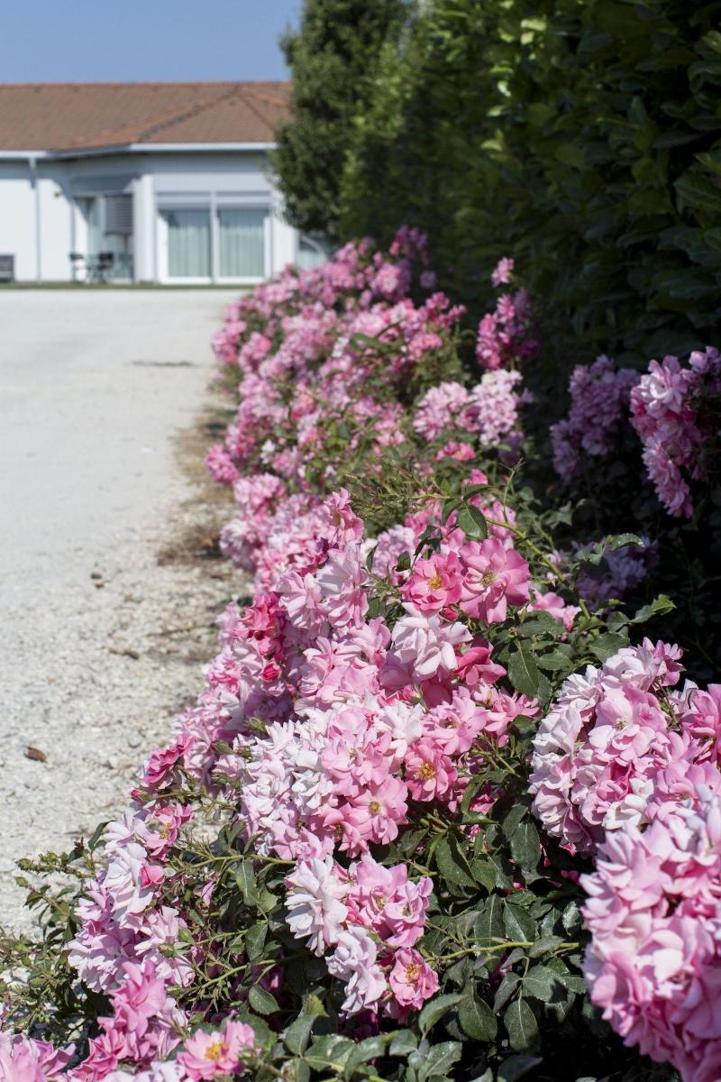 Country House Campofiore image