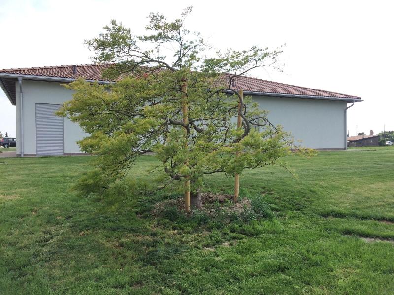 Country House Campofiore image