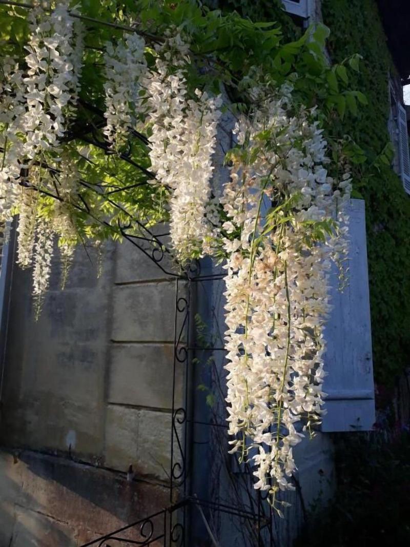 La Hourqueyre image