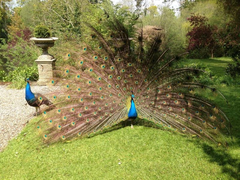 Marlfield House image