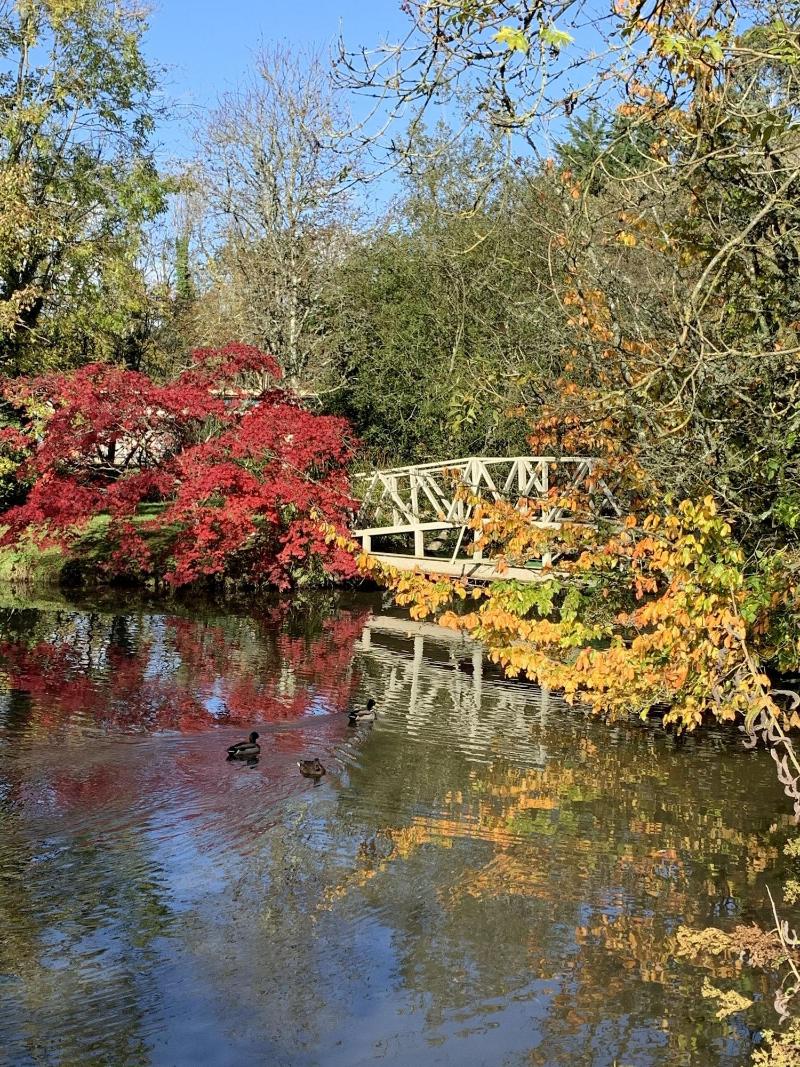 Marlfield House image
