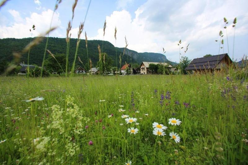 Hiša Pr'pristavc image
