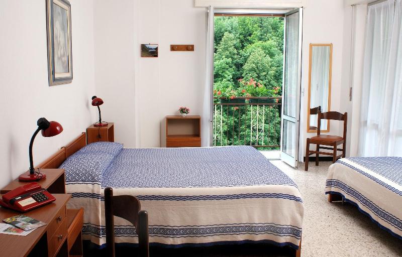 Albergo Regina image