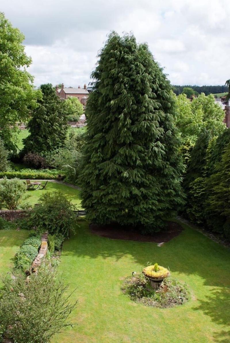 Edenhall Country House Hotel image