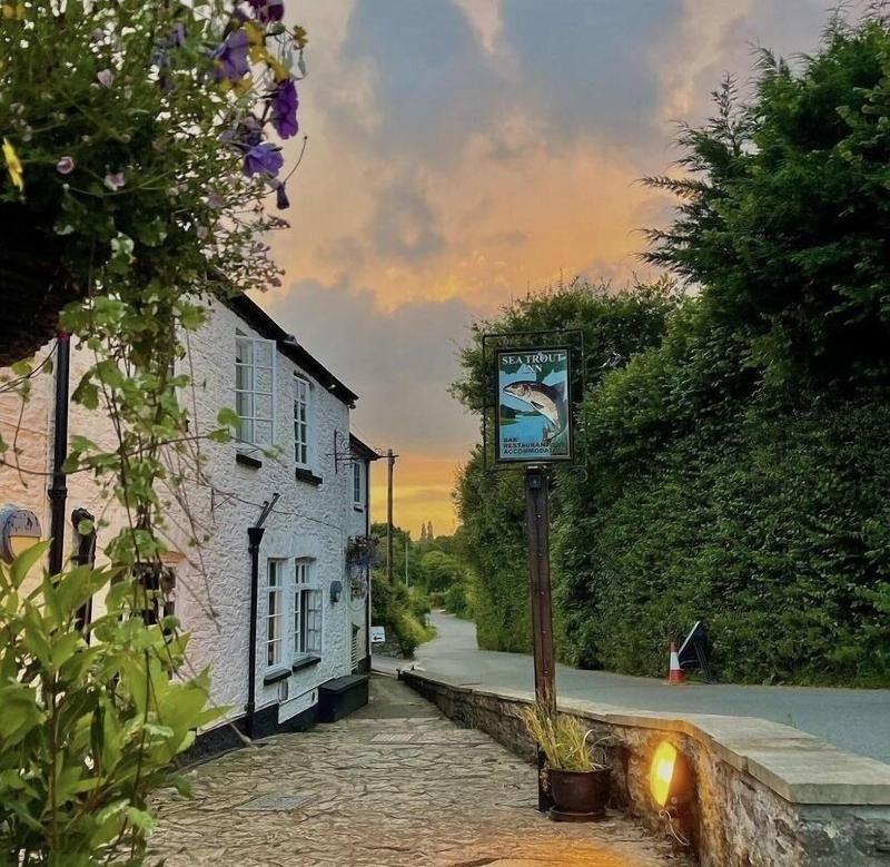 The Sea Trout Inn image