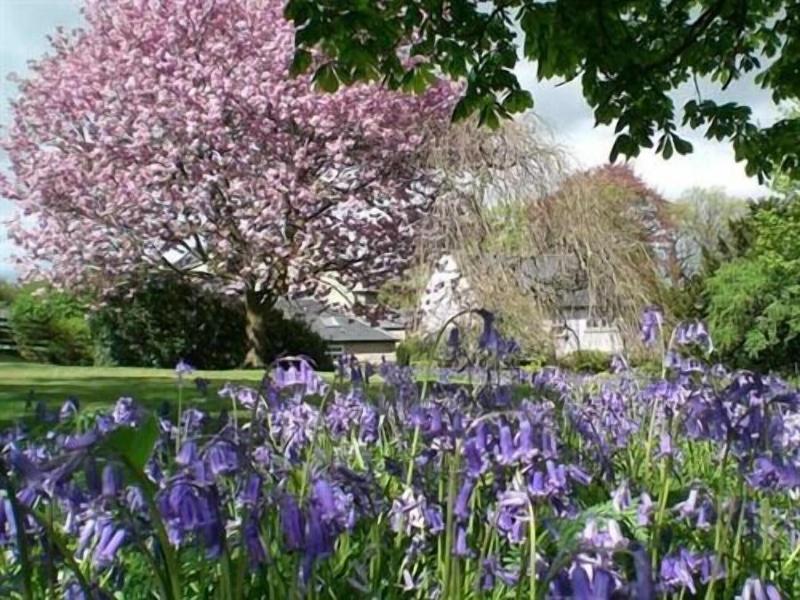 Hedgefield House Hotel image