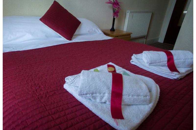 OYO Swanvale Lodge Hotel - SELF CHECK IN image