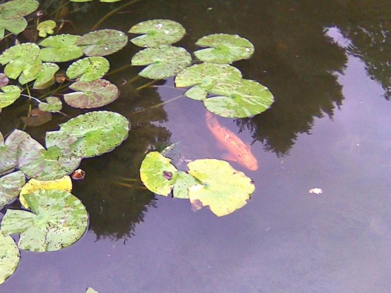 Anand Lodge image