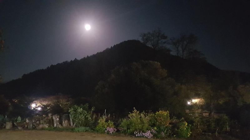 Moonlight House image