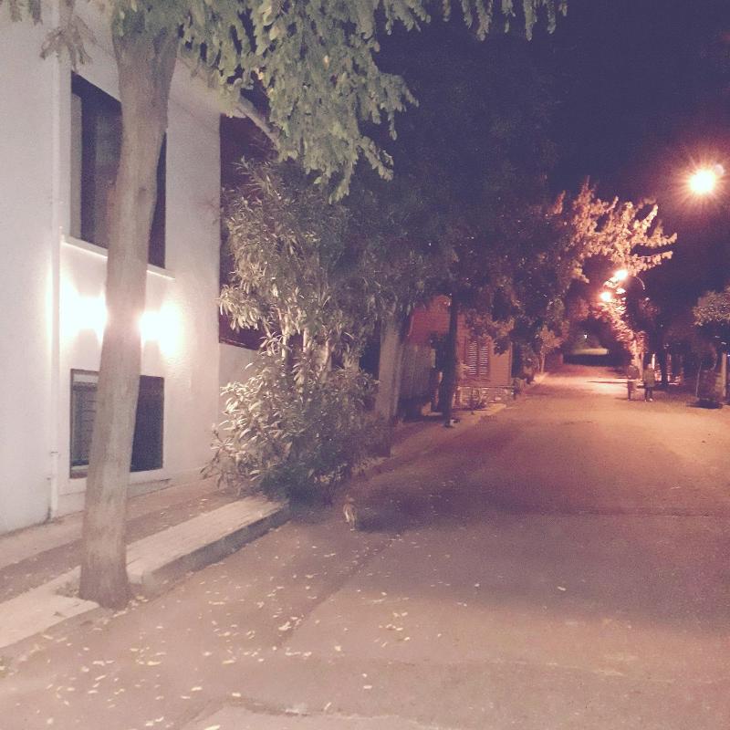 Orhan Kutbay'in Evi Turyolu Cafe Pansiyon image