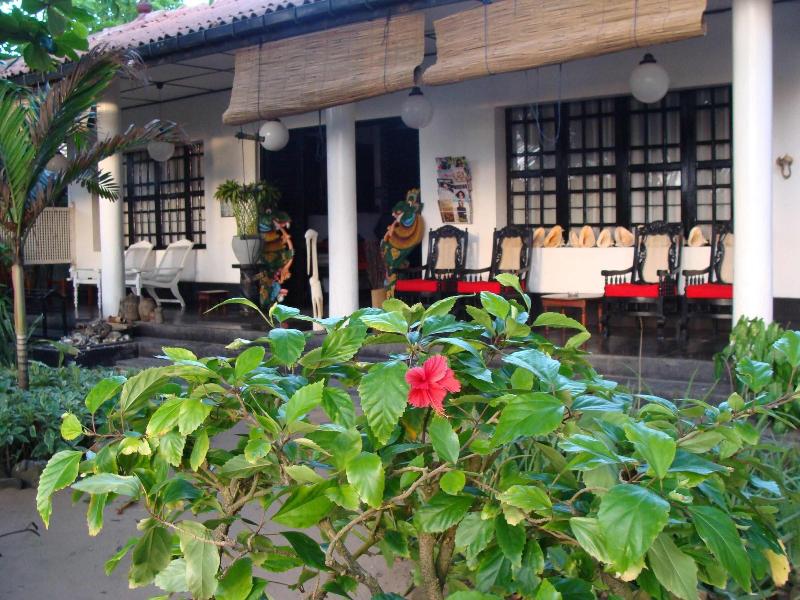 The Icebear Guesthouse image