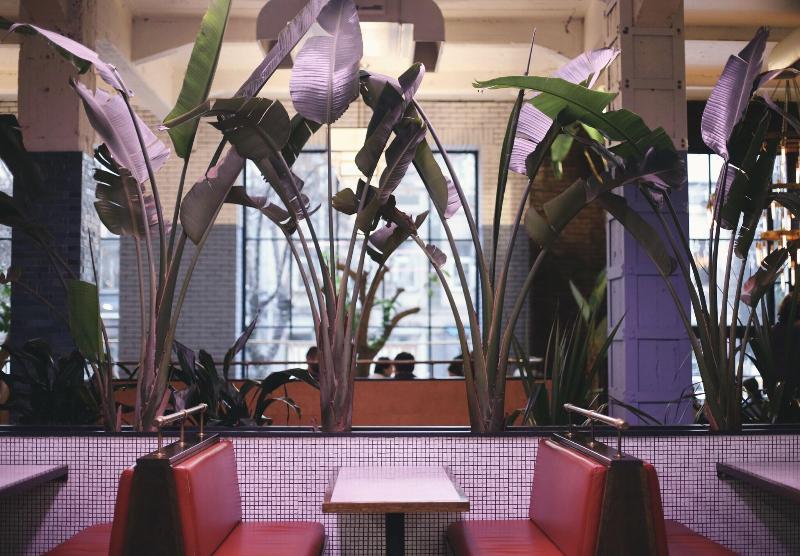 Stamba Hotel image
