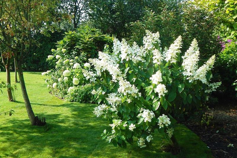 Cold Cotes Guest House image