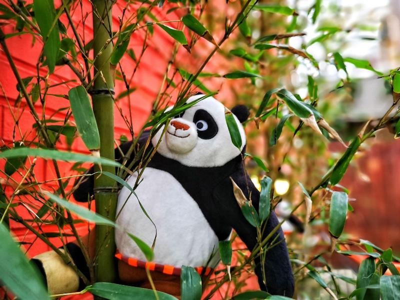 Twin Panda image