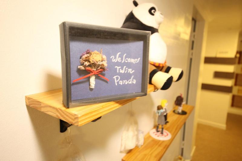 Twin Panda image