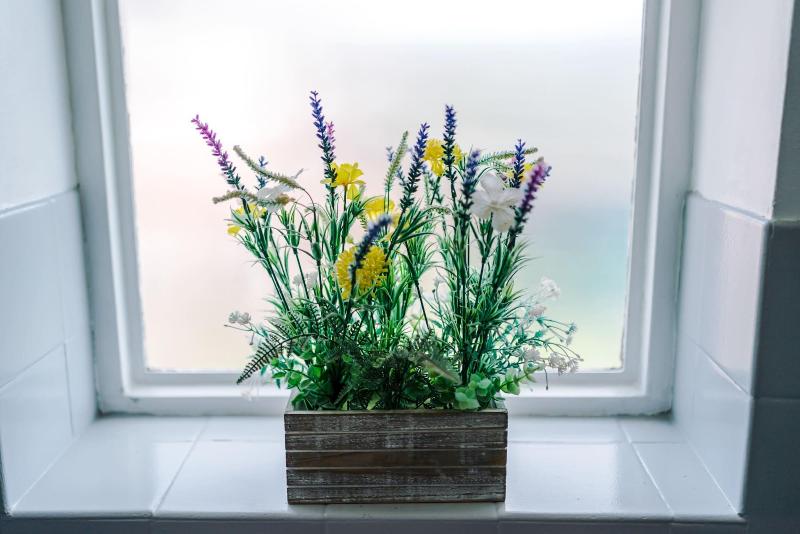Holcombe Guest House image