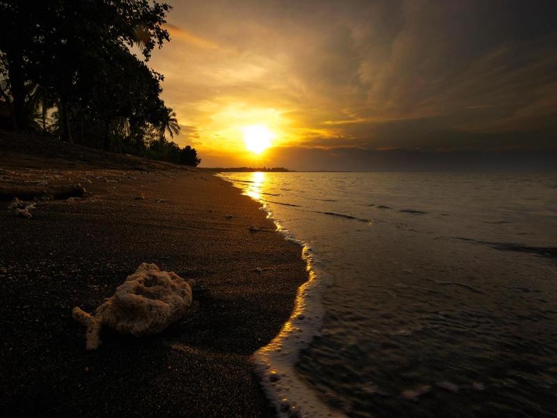 Rinjani Beach Eco Resort image