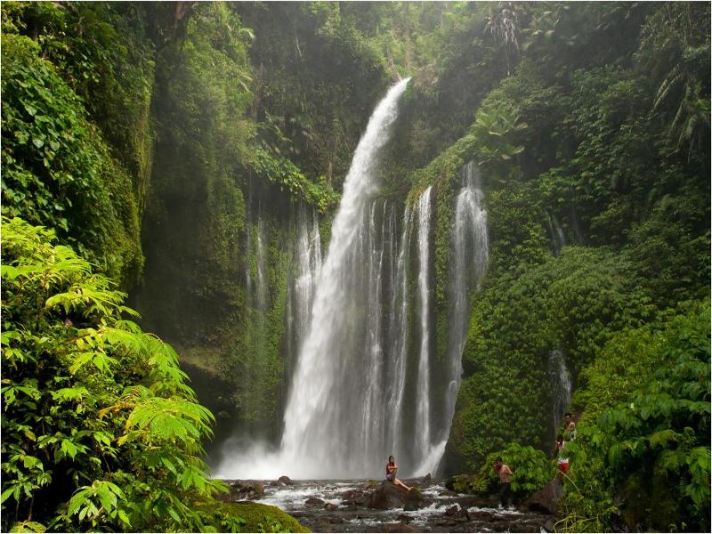 Rinjani Beach Eco Resort image