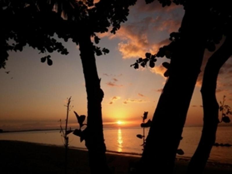 Rinjani Beach Eco Resort image