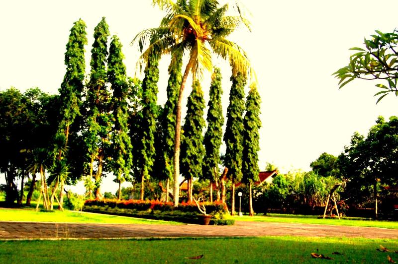 Dhyanapura City Hotel image
