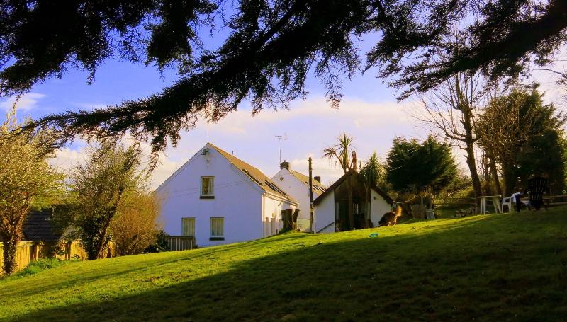 Ivybridge Guest House image