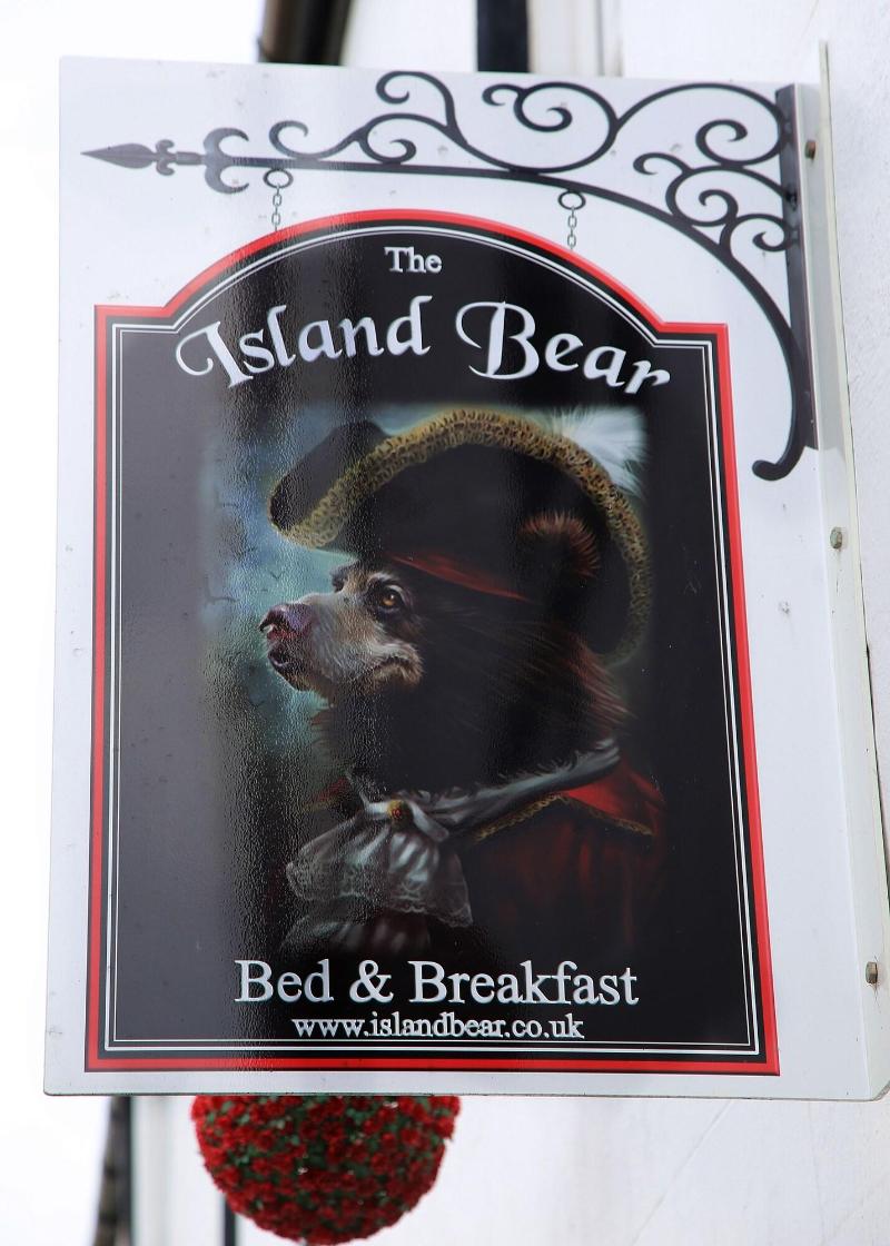 The Island Bear Bed And Breakfast image