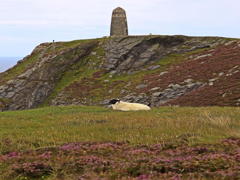The Island Bear Bed And Breakfast image