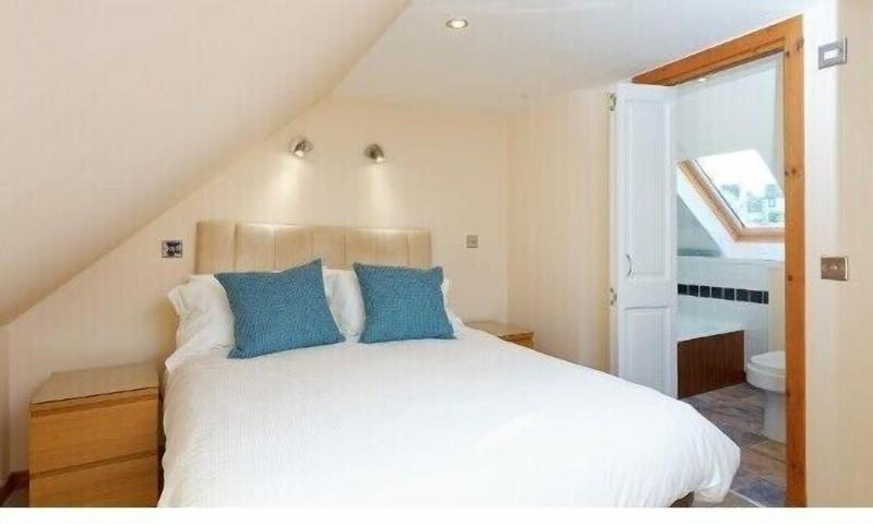 The Island Bear Bed And Breakfast image