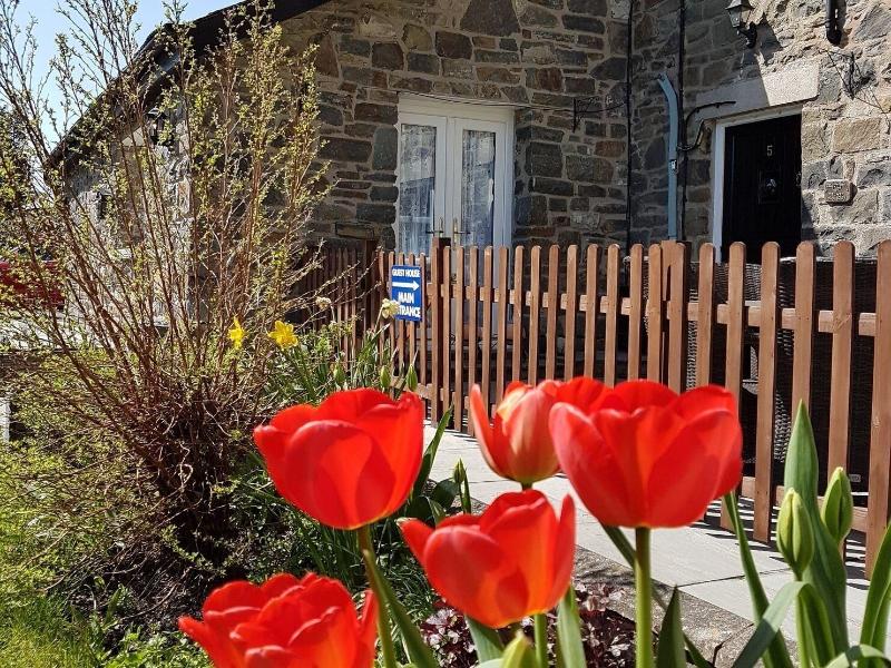 Bronwye Guest House image