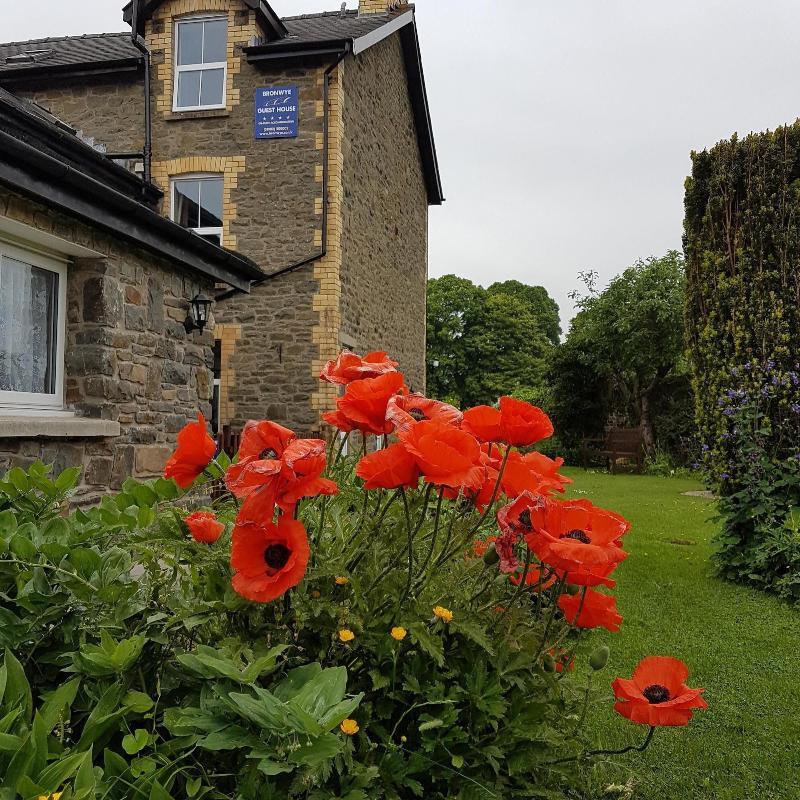 Bronwye Guest House image