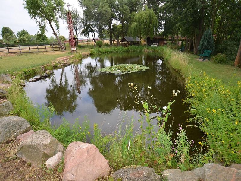 Pension Weidemühle image