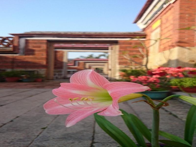 Pearl B&B — photo 31