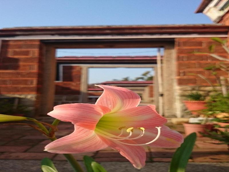 Pearl B&B — photo 33