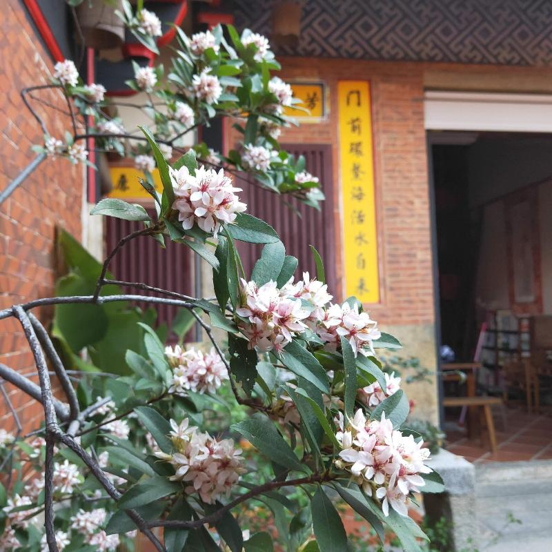 Pearl B&B image