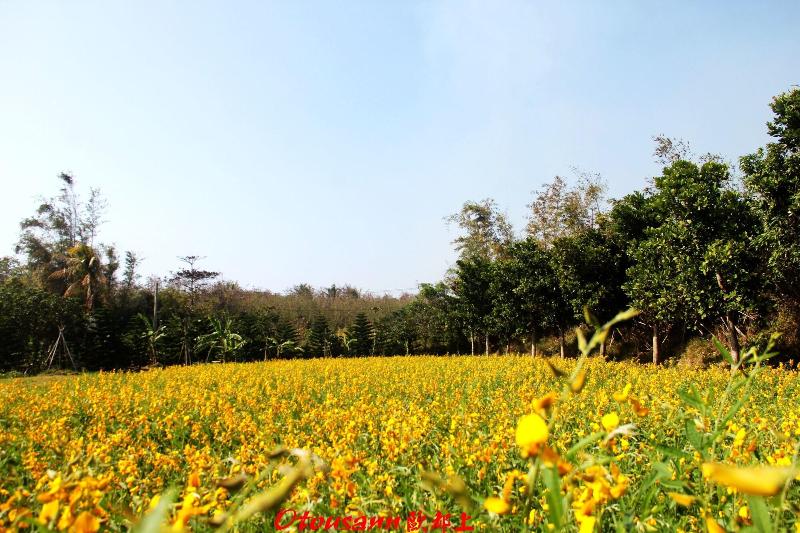Otousann B&B image