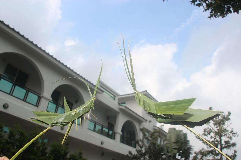 Otousann B&B image
