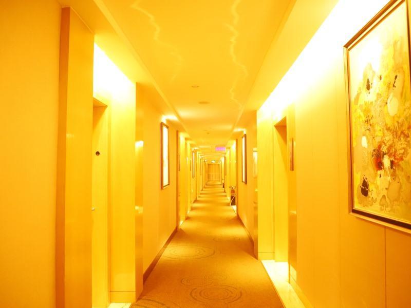 Greentree Inn Zhumadian High Speed Rail Station Sq