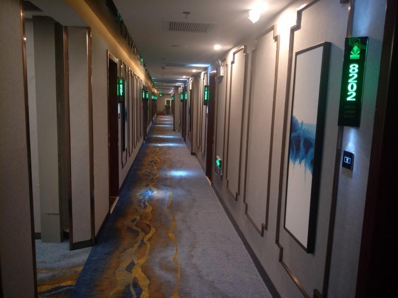 Greentree Alliance Xinxiang Train Station Hotel