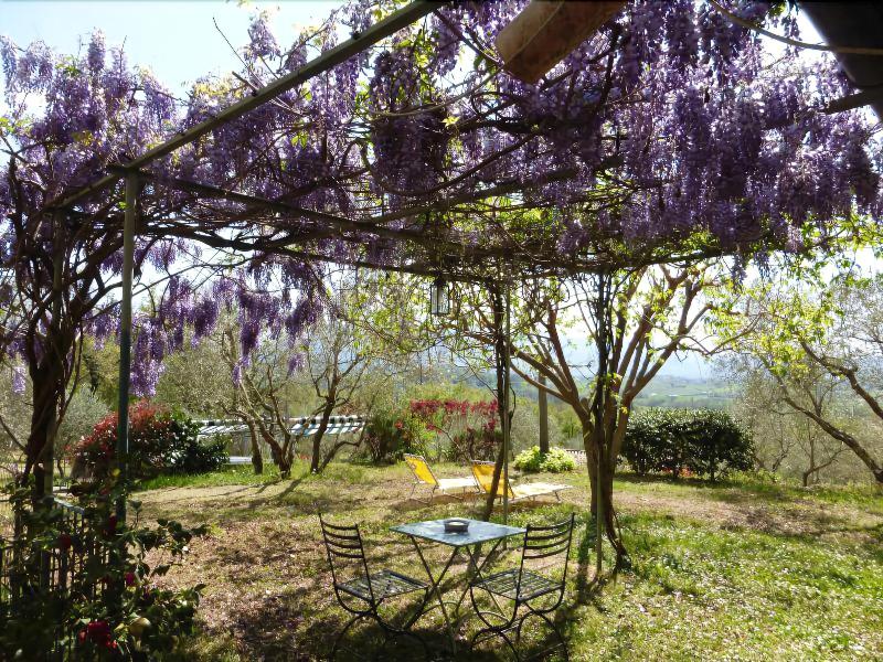 Il Bruco B&B image