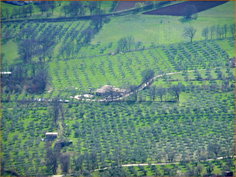 Il Bruco B&B image