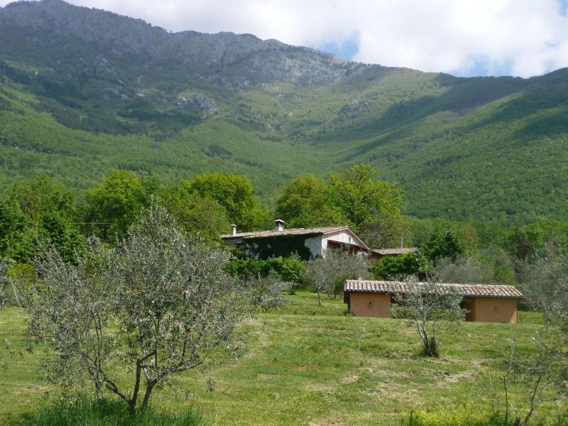 Il Bruco B&B image